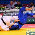 WCPARIS2011 90073